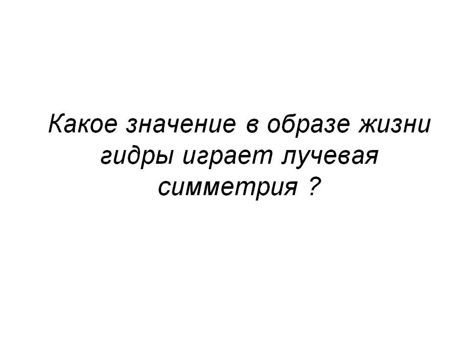 Почему сегодня не работает площадка кракен